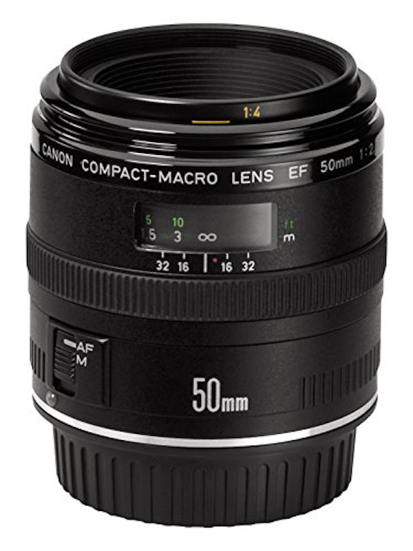 EF50mm F2.5 コンパクトマクロ 2