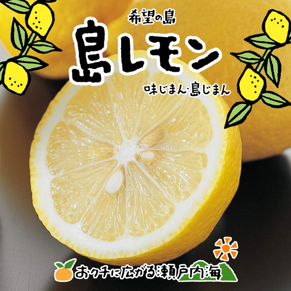 愛媛・中島産 希望の島 レモン 2