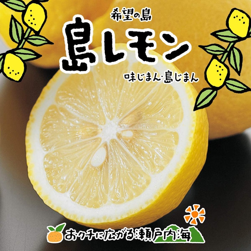 愛媛・中島産 希望の島 レモン 2