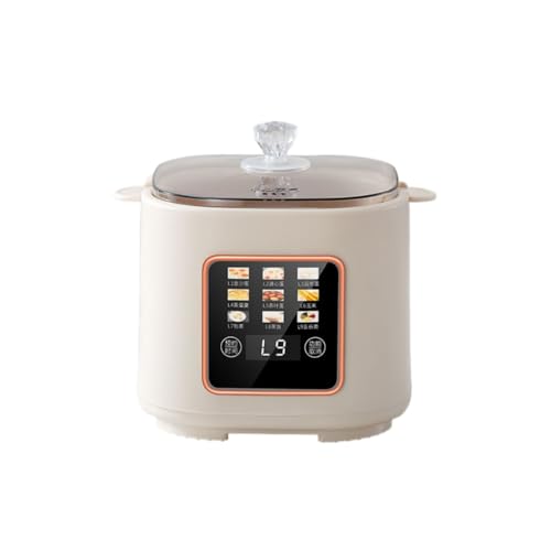 電気蒸し器  1