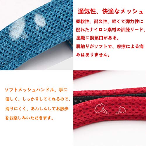 犬用リード L 5