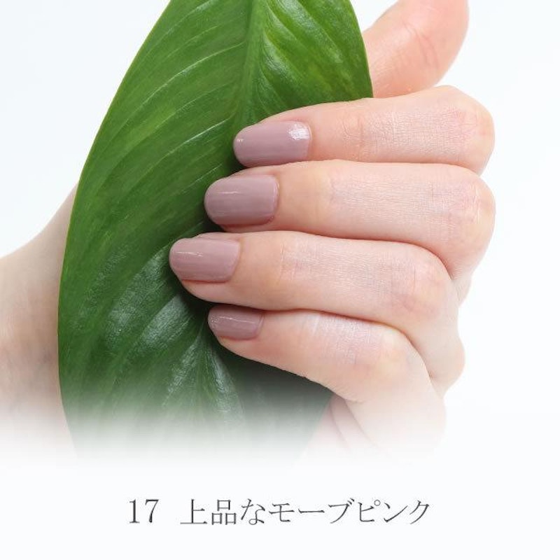 水性ネイル shellscoat( 3