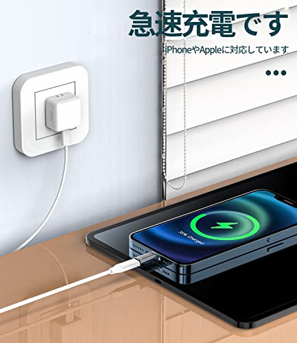 変換アダプタOTGケーブル 5