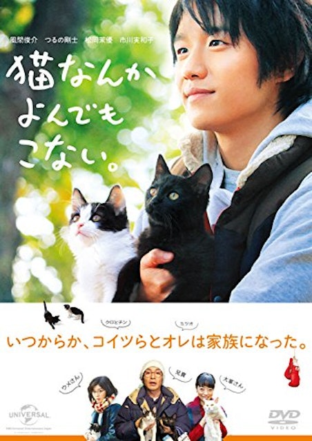 21年 猫映画のおすすめ人気ランキング選 Mybest 21年 猫映画のおすすめ人気ランキング選 Mybest