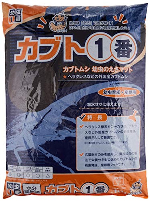 カブト1番 1