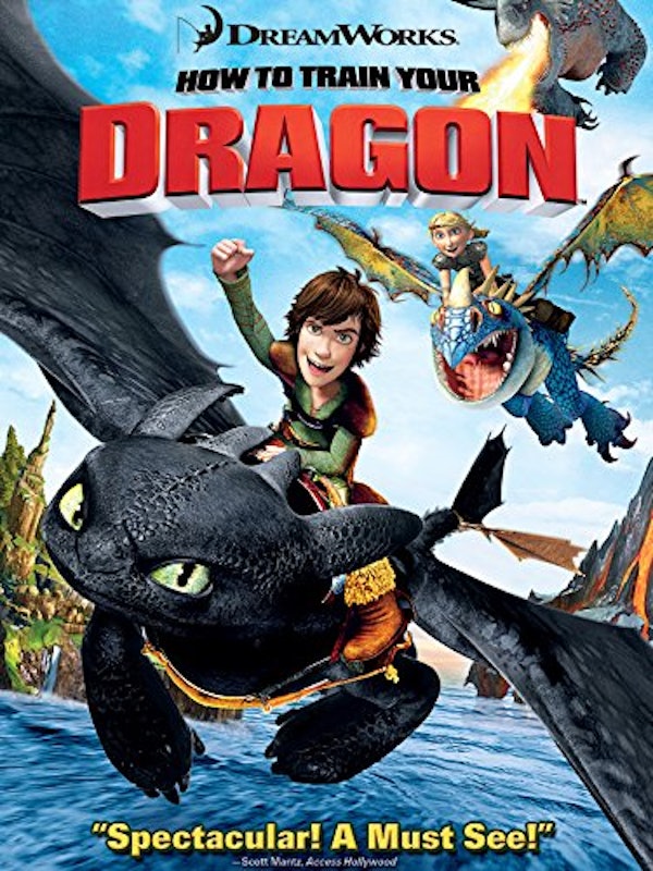 ヒックとドラゴン 1