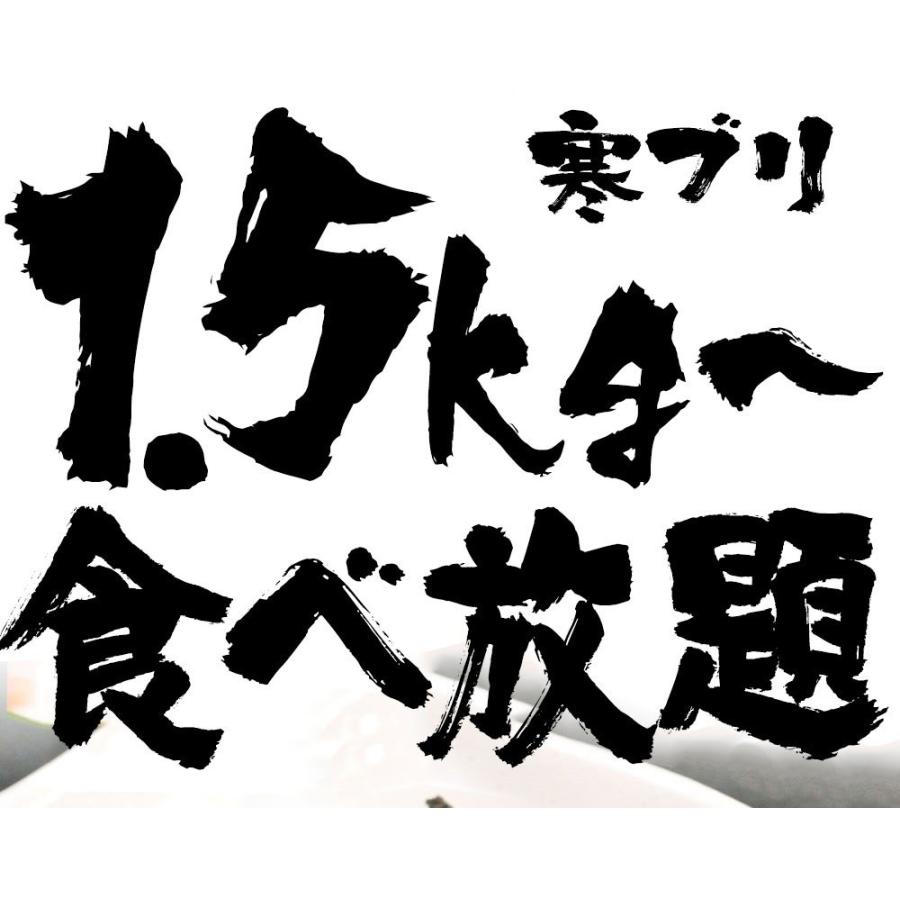  活締めぶり 3