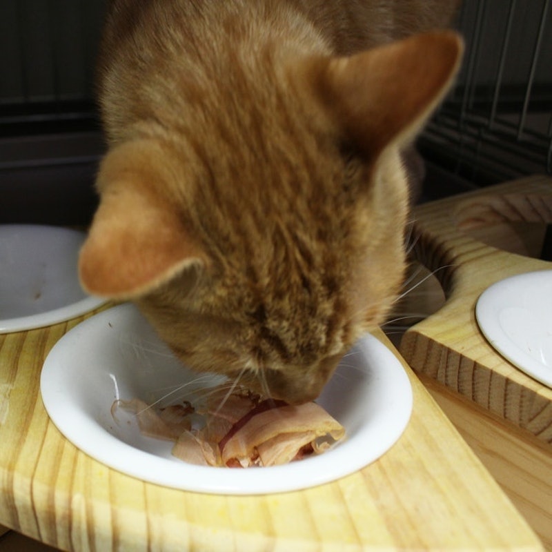 ペットイート 無添加猫ちゃんのかつお削り 7