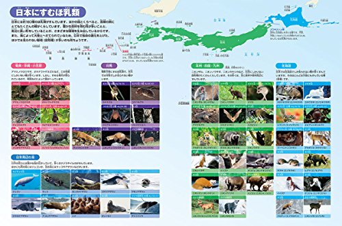 小学館の図鑑NEO 動物 5