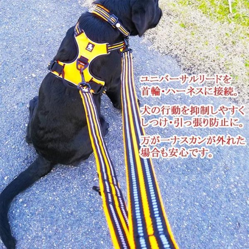 犬用首輪 13
