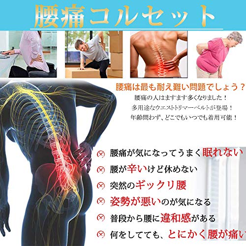 加圧ベルト 2