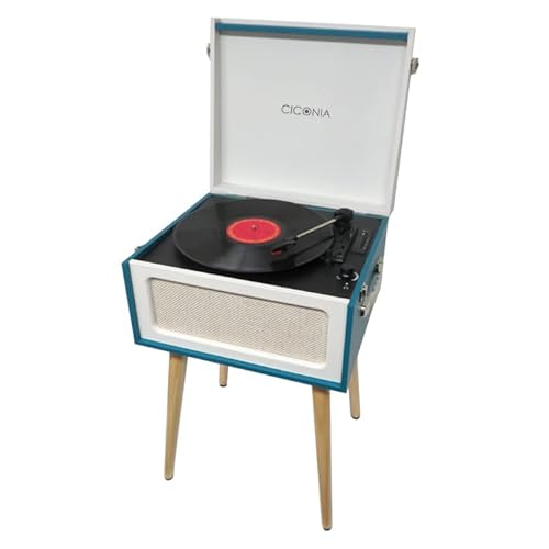 レコードテーブル 1