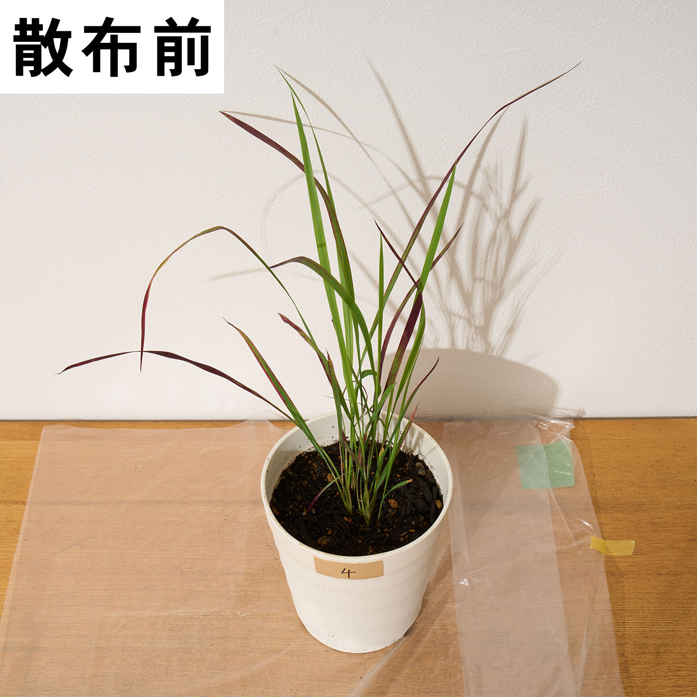 バスタ液剤 15