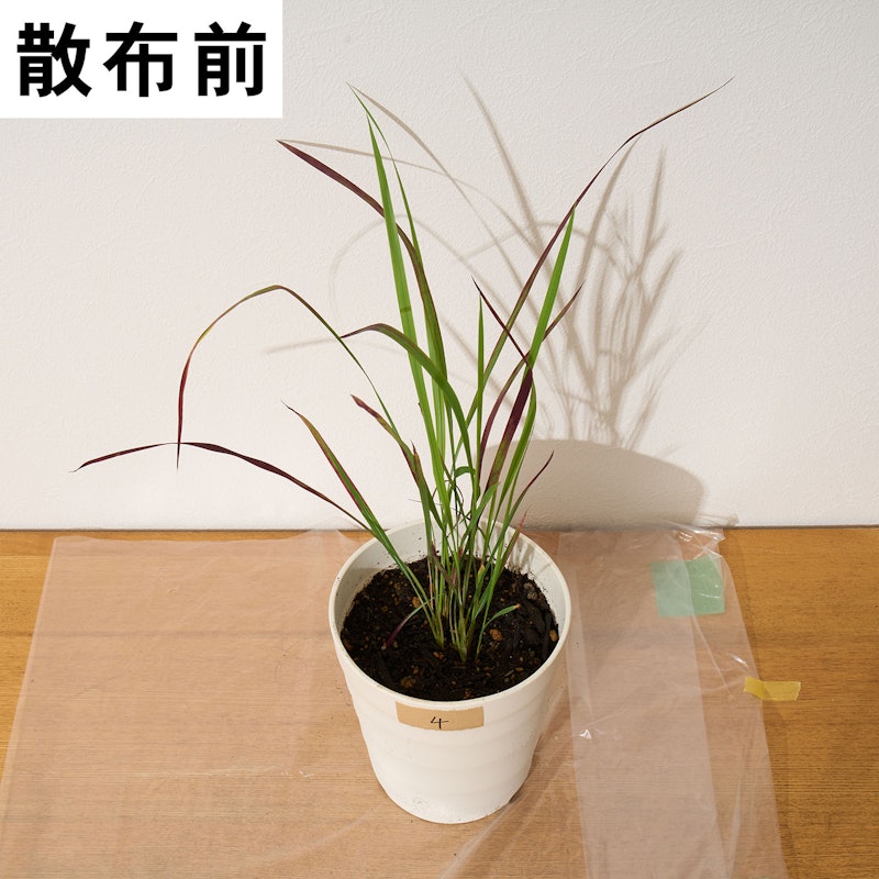 バスタ液剤 15