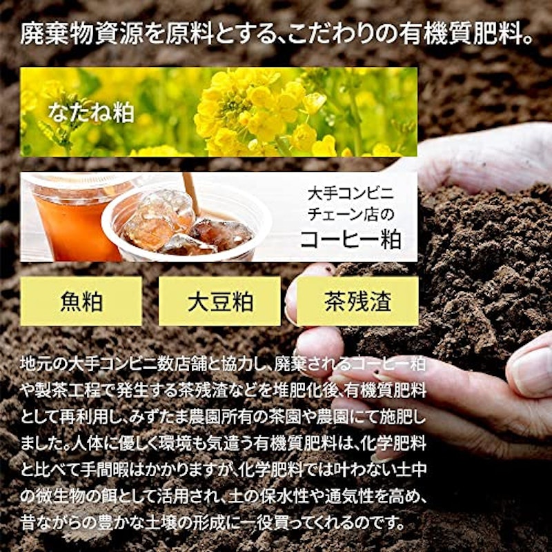 農薬も化学肥料も使わないで育てたお茶 6