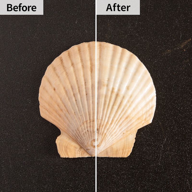 薬用シュミテクト コンプリートワンexを他商品と比較 口コミや評判を実際に使ってレビューしました Mybest 薬用シュミテクト コンプリートワンexを他商品と比較 口コミや評判を実際に使ってレビューしました Mybest