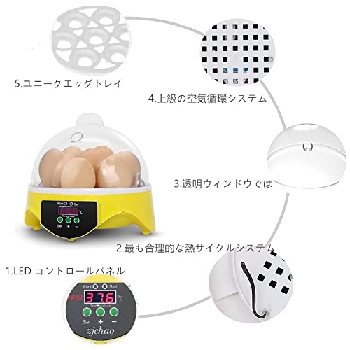 自動孵卵器 2