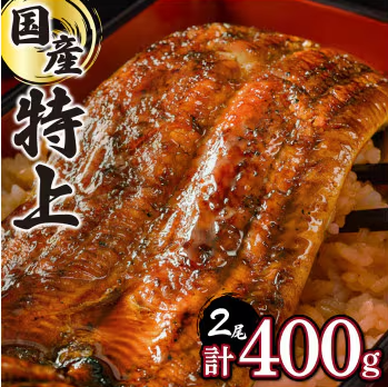国産うなぎ蒲焼 1