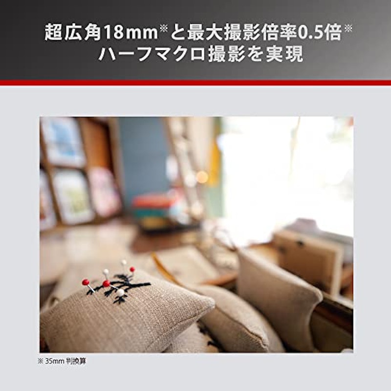 LEICA DG SUMMILUX 9mm / F1.7 ASPH. 3