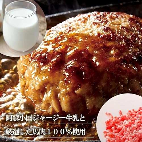 馬肉ハンバーグ 2