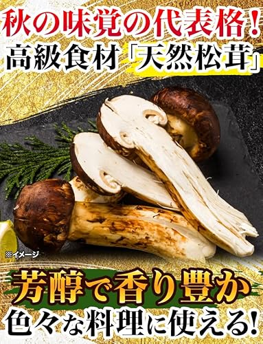  天然高級 松茸開き 3