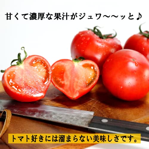  珊瑚樹トマト S特選 2