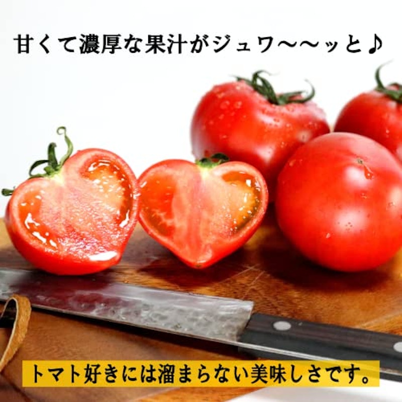 珊瑚樹トマト S特選 2