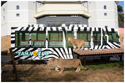 多摩動物公園 2