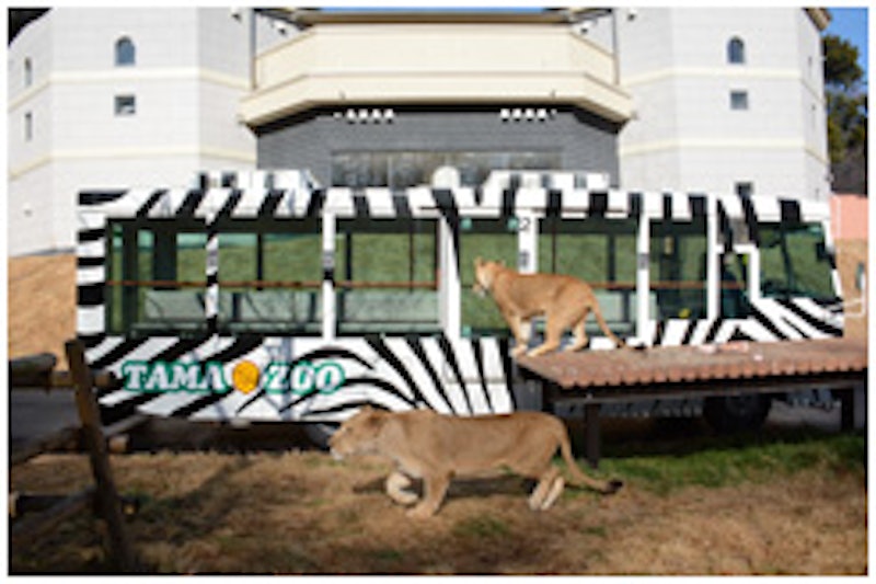 多摩動物公園 2