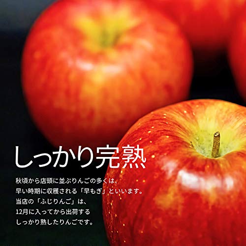 山形県産 完熟サンふじりんご 2