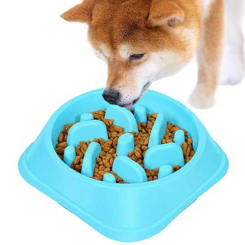フードボウル 5