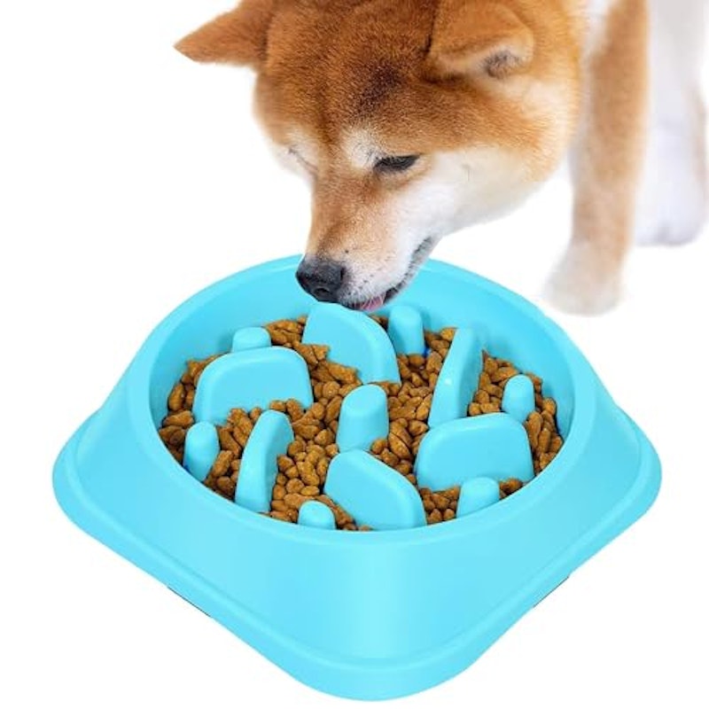 フードボウル 5