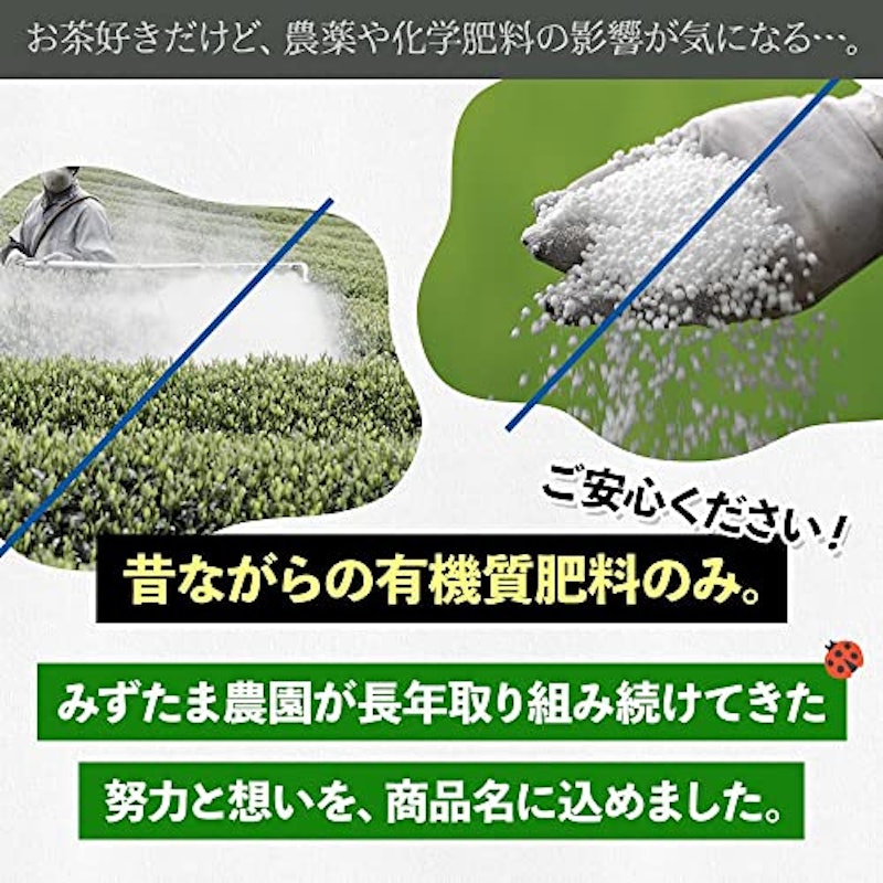 農薬も化学肥料も使わないで育てたお茶 4