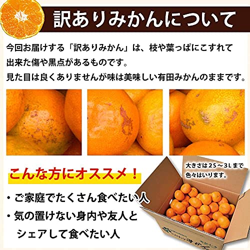 やまきずくん 訳ありみかん 2