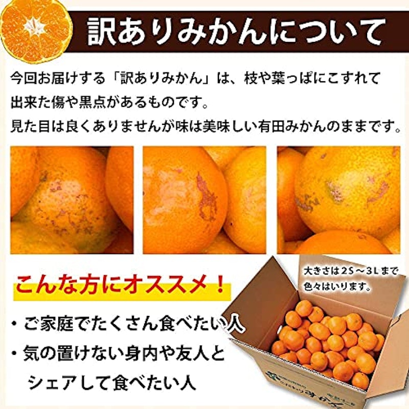 やまきずくん 訳ありみかん 2