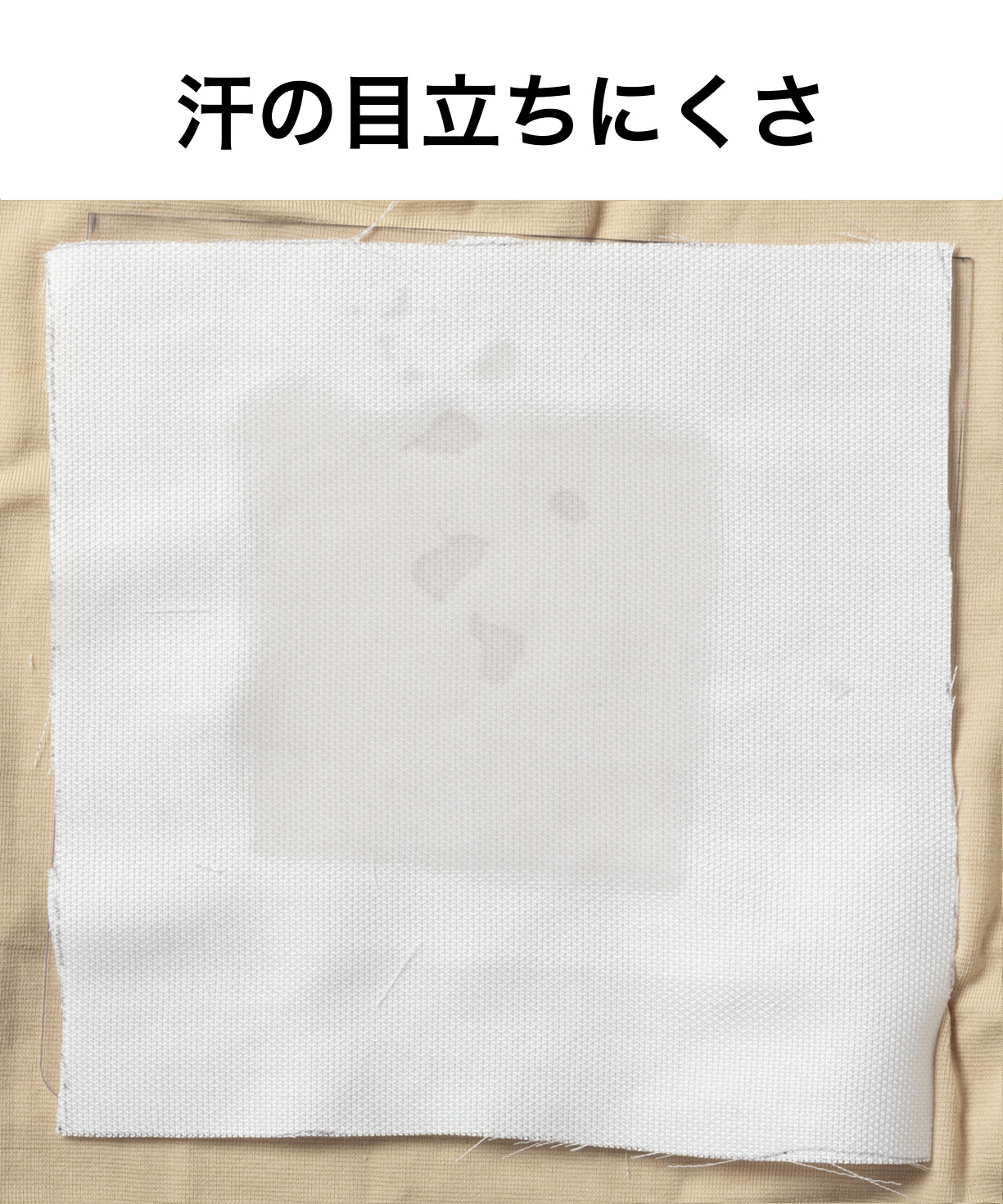 綿100％トラッドドレスシャツ 4