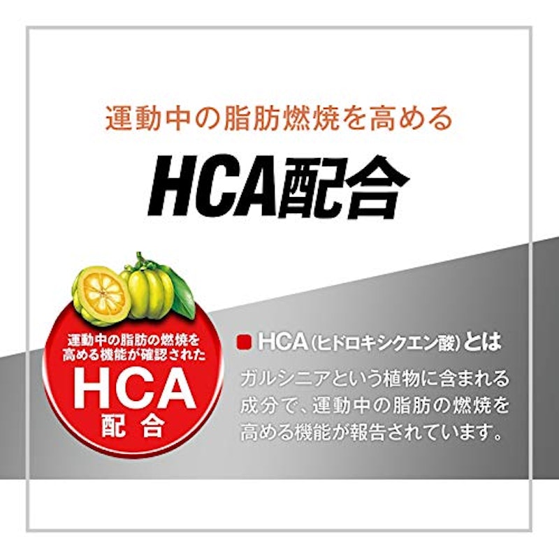 エキストラ バーナー 4