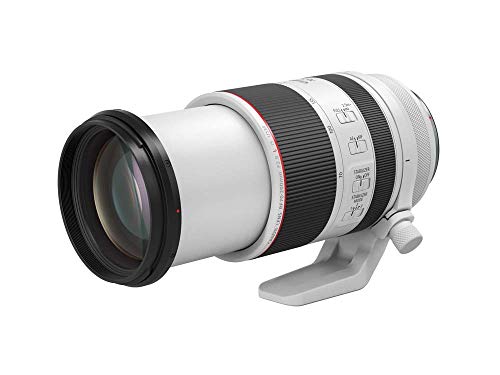 RF70-200mm F2.8 L IS USM 1
