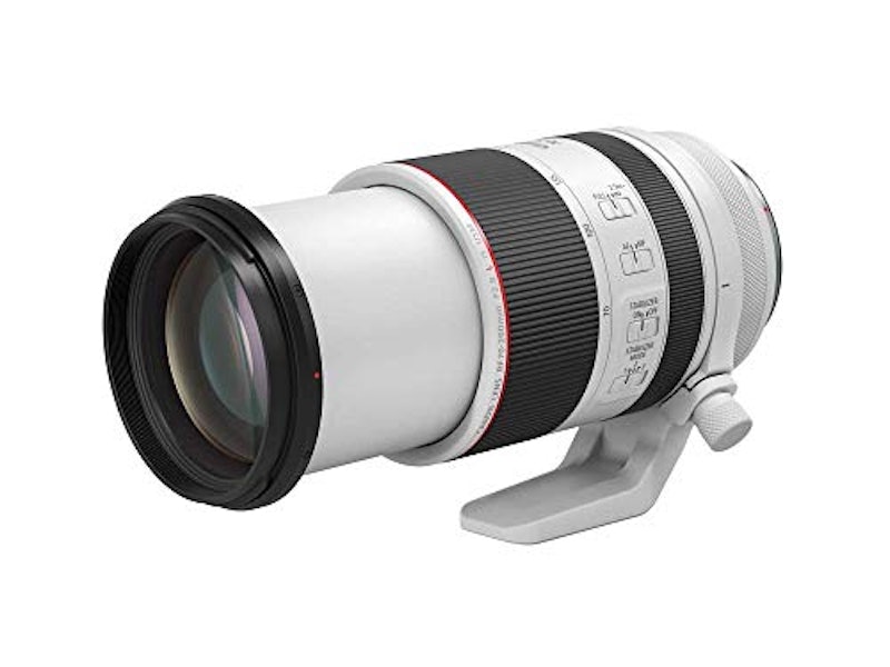 RF70-200mm F2.8 L IS USM 1
