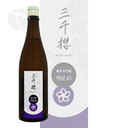 彗星45  2