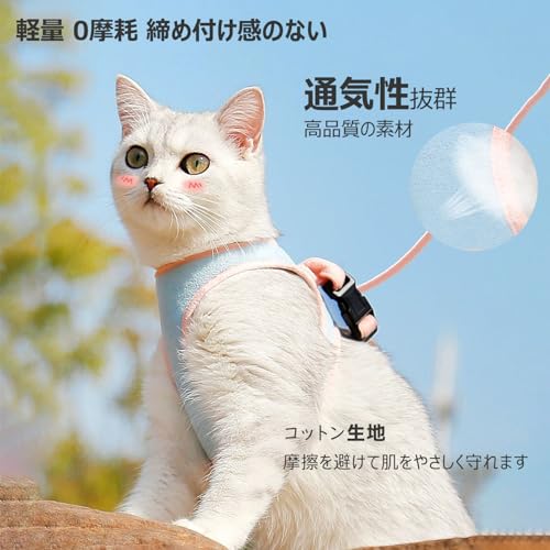 猫リード子猫 安い