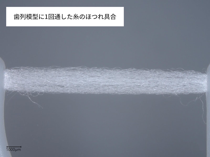 フレッシュ フロスピック 4