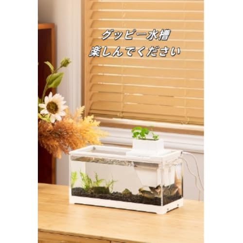 卓上小型水槽セット 2