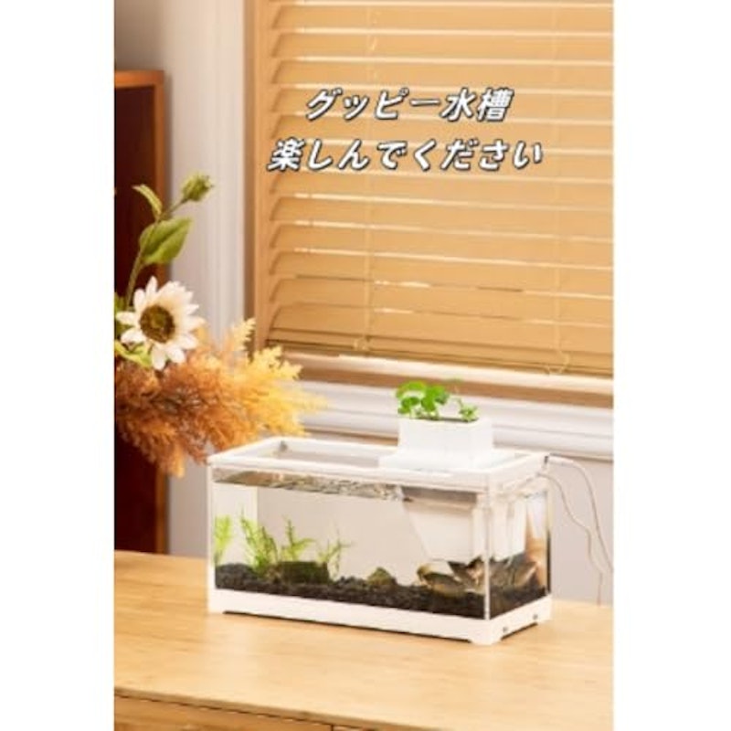 卓上小型水槽セット 2
