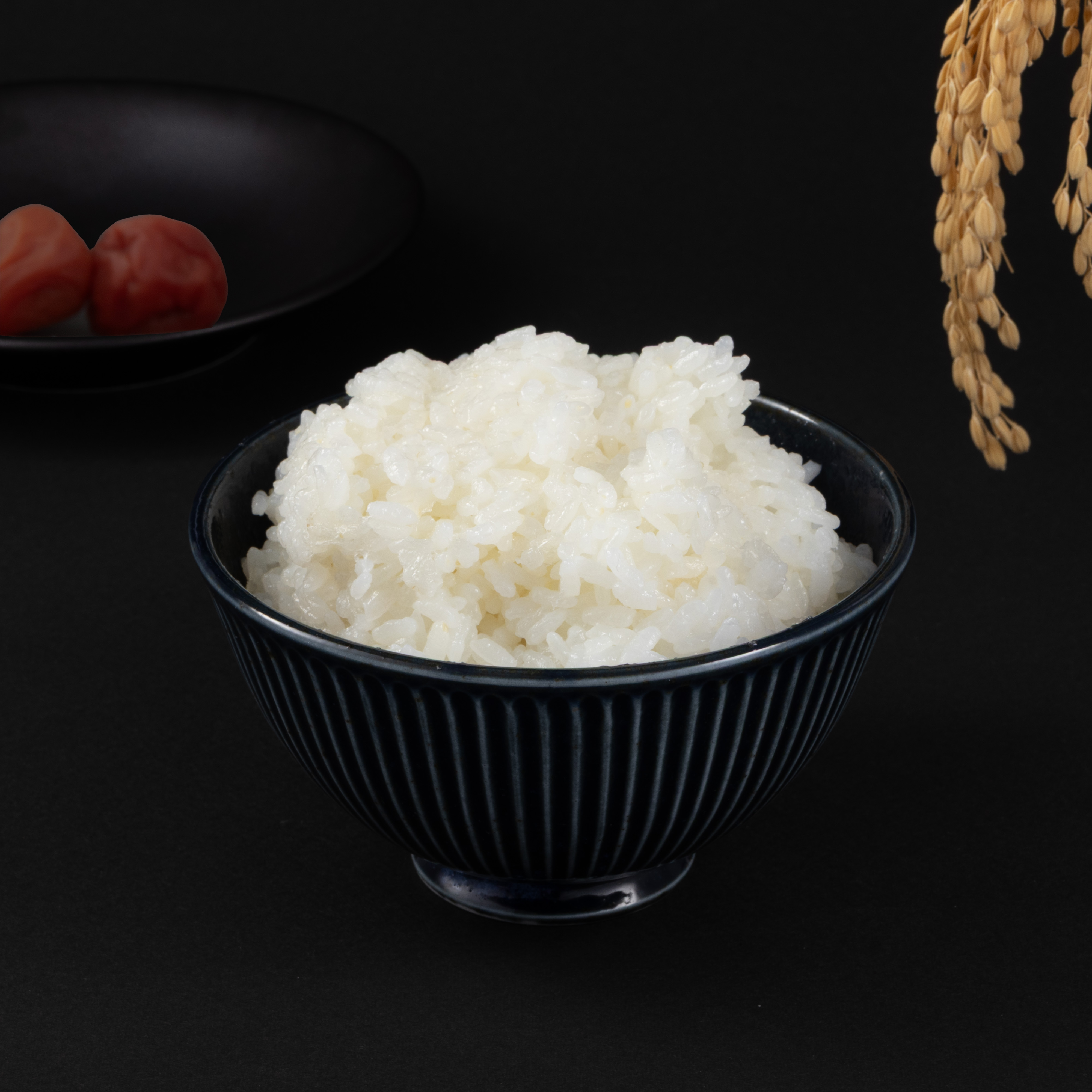 マイコン炊飯ジャー 3