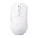 ASUS HARPE ACE MINI 1