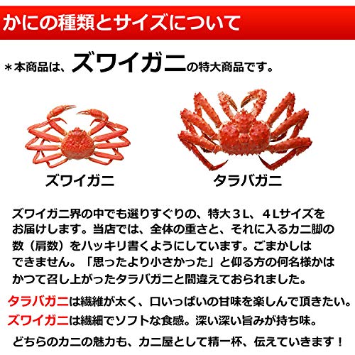 特大ずわいがに脚 5