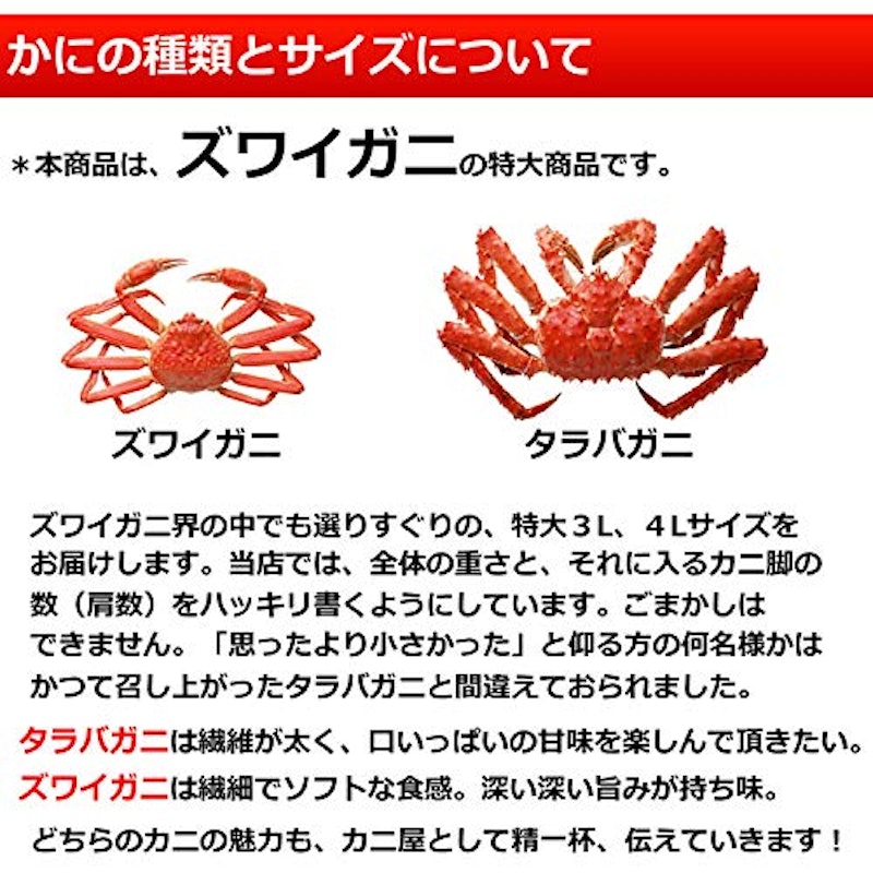 特大ずわいがに脚 5