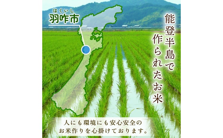 令和7年産 石川県産コシヒカリ 5kg 2