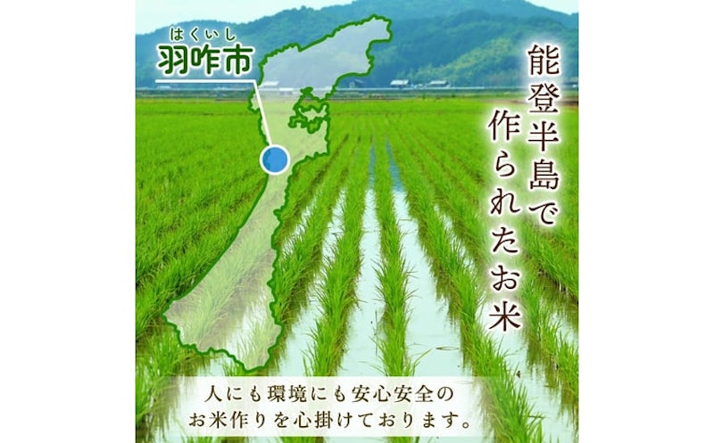 令和7年産 石川県産コシヒカリ 5kg 2